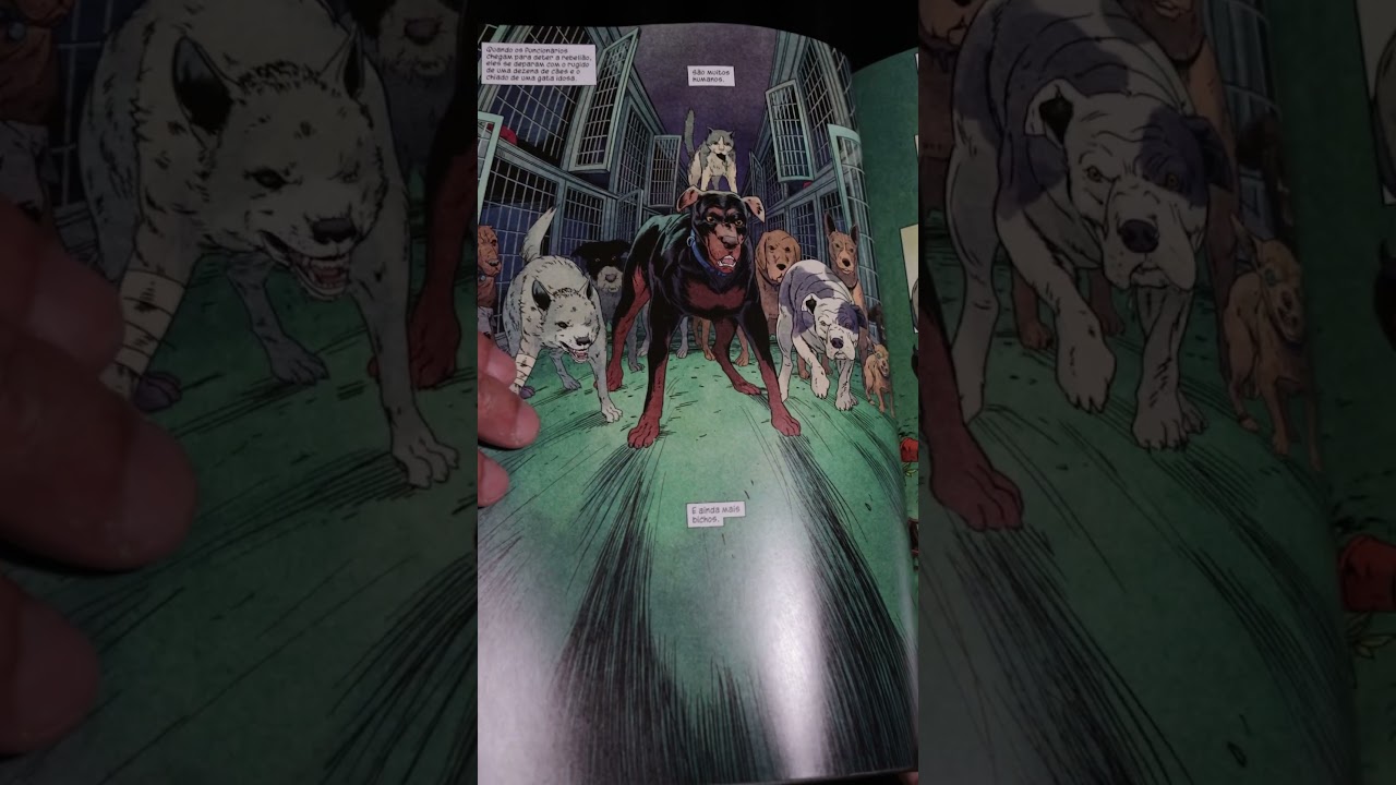 Você já conhece O Abrigo dos Animais?